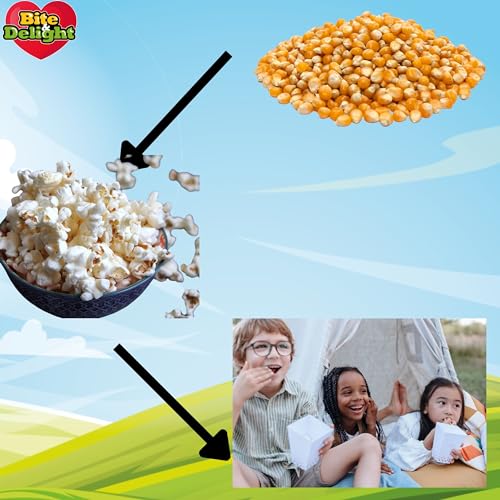 Bite & Delight Popcorn Mais - Kinopopcorn für Popcornmaschine - Popcornloop - Natürlich Knuspriger Genuss - Butterfly Popcorn Mais - der Klassiker des Popcorn Mais - Ohne Zusätze - 1kg