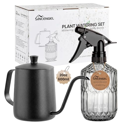 Sincengel Watering Can Indoor Plants, 20 oz Metal Mini Indoor