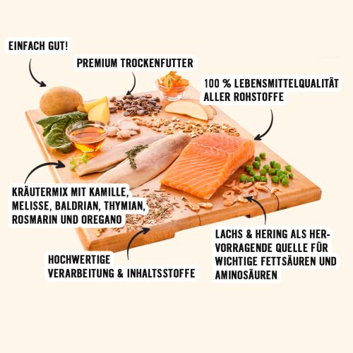 Dogs’n Tiger Adult Premium Hunde Futter, Fischers Fritz, Trockenfutter für Hunde mit 70% Fleischanteil – ohne Zucker & Getreide, Lachs und Hering mit Gemüse, 2kg