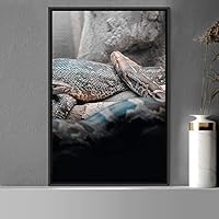 Framed Canvas Wall Art Snake Contemporary Dramatic Hallway Multicolor Photography Reptiles Snakes - 16x24 inches