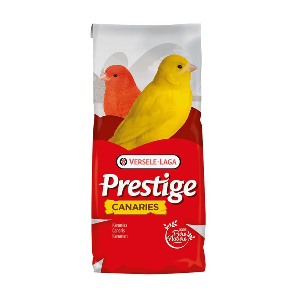 Qualitäts- seedmixtures für Kanarienvogel - Modern Without Raps