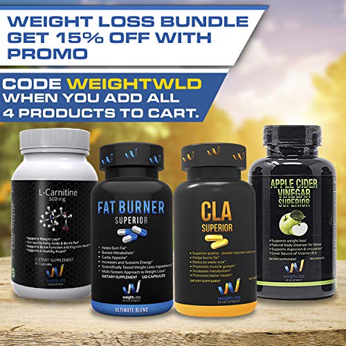 L CARNITINE Powder Tartrate Supplements 500 mg for Weight Loss Management - Non GMO Diet Pills with Amino Acid - 60 Capsules