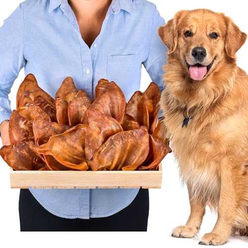 Orecchie di maiale per cani 20 pezzi (800g) | Snack naturali di orecchie di maiale intere essiccate | 100% naturali | Masticazione duratura | Senza cereali | Ideali per cani piccoli e grandi