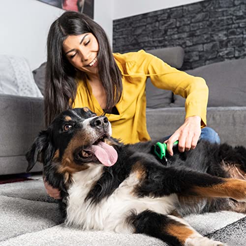 FinoPet Hundebürste Grosse Hunde Ab 21 kg - Unterfellbürste Hunde - Hundebürste Unterwolle - Fellbürste Hund - Unterwolle Bürste Hund Kurzhaar - Effiziente Pflege Unterwollkamm Langhaar (Größe L)