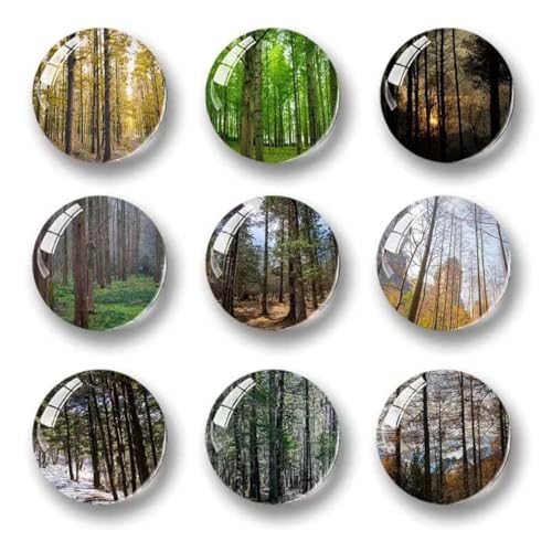 Imanes Redondos Decorativos para Refrigerador con Árbol