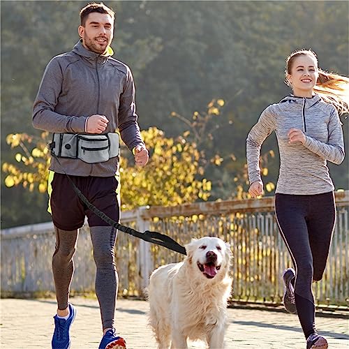 Bolsa de golosinas para perros Btgghytr impermeable para evitar bolsillos sucios 5