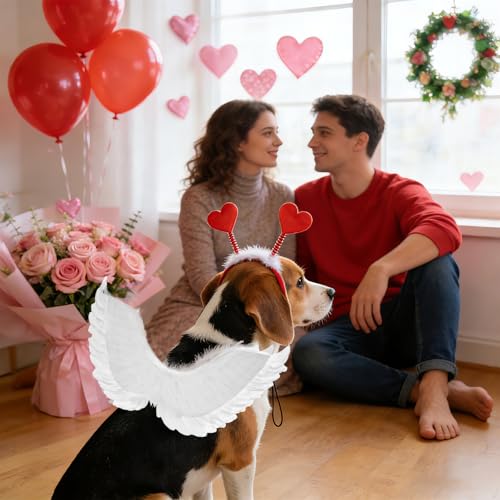 Disfraz San Valentín para perros con alas y diadema miniatura 4