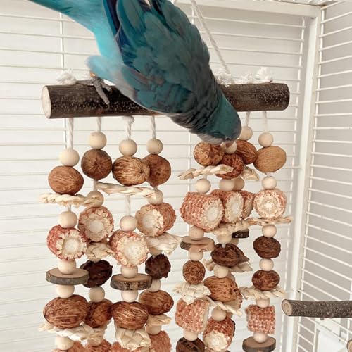 Cage à oiseaux en bois pour balcon et jardin habitat extérieur pour perruches et pinsons - 3