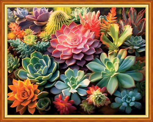DMCVIVR Stamped Cross Stitch Kits for Adults Beginners Embroidery Kits 11CT Needlepoint Kits Cross Stitch Patterns Embroidery Patterns-Succulent Plants 16x20 inch
