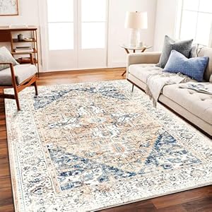 Washable Area Rug 5×7 for Living Room Retro Boho Chic Medallion Distressed Design Indoor Non-Slip Large Oriental Accent Throw Rug for Kitchen Bedroom Office Carpet