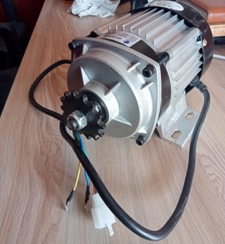 Image of 48v 800 Watt BLDC MOTOR For E-Rickshaw& E-Bike