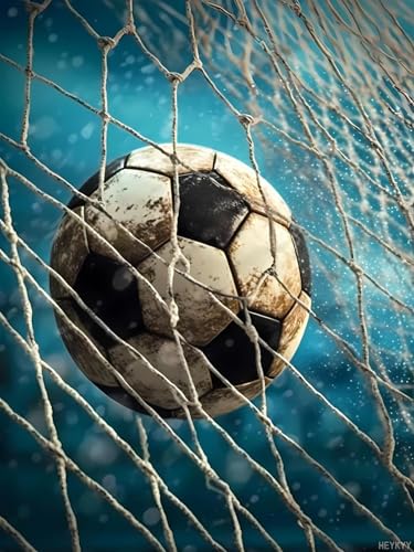 Heykyy E-1 The Soccer Ball In The Net Diamond Painting Kit cover