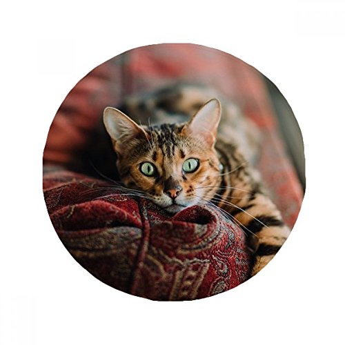 Tapis de sol chat œil vert rond antidérapant multicolore 60cm cuisine bain - 2