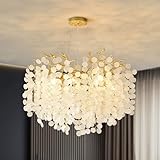 VBKK 24-Inch Gold Coastal Chandelier, Modern Crystal Tree Branch Dining Room Light Fixtures, 8-Light Capiz Shell Chandelier for Living Room, Bedroom, Foyer, Kitchen Island, Entryway