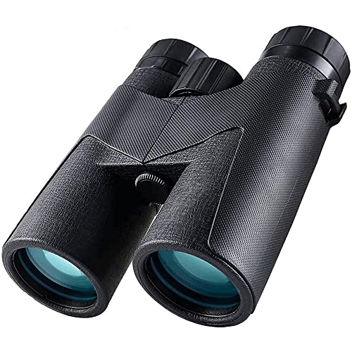 Binocular - Featuring Glass for Superior Low-Light Performance and Edge to Edge Sharpness