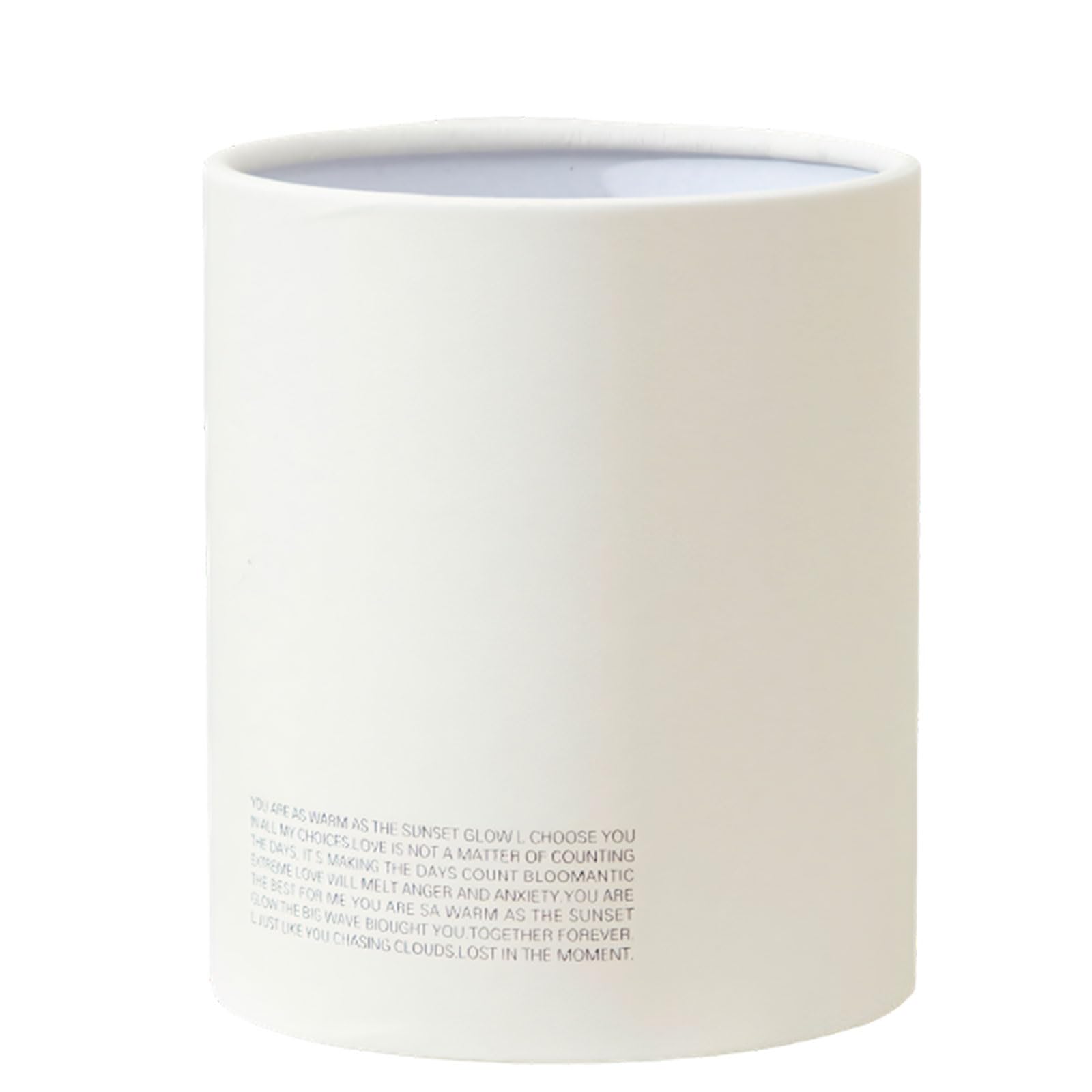 ZBIianxer Portable Art Craft Container with Handle Packaging for Bouquets and Stylish Room Decor Gift Packaging Box