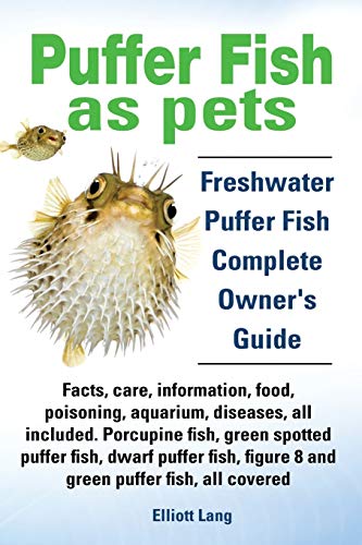 Puffer Fish as Pets. Freshwater Puffer Fish Facts, Care, Information,