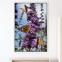 Framed Canvas Wall Art Butterflies Butterfly Colorful Farmhouse/Country Hallway Insects Multicolor Photography - 16x24 inches