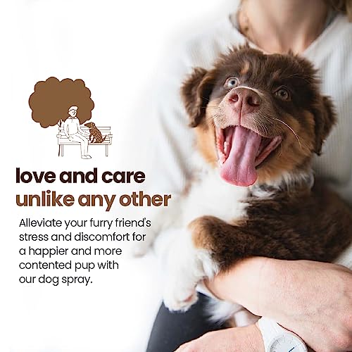 Gerrard Larriett  Aromatherapy Freshening and Shining Dog Perfume Calming Dog Cologne with Oat Pet Supplies for Skin Care and Odor Control 8 Fl Oz relaxing Wildwoods  Cucciolini Doodles Gerrard larriett  aromatherapy freshening and shining dog perfume calming dog cologne with oat pet supplies for skin care and odor control 8 fl oz relaxing wildwoods   cucciolini doodles