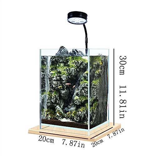 Miniatura 2 de Xumh2024-3 Pecera Pecera De Escritorio Pequeña Pecera Diy Ecológica Oficina Hogar Escritorio Acuario Decoración De Escritorio Para Exhibición En El Escritorio