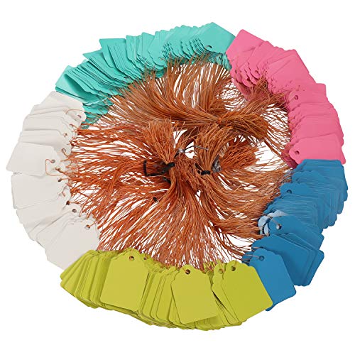 BELLE VOUS Etichette per Piante (500pz) - Targhette per Piante in Plastica da 4,5x3cm con Cordino - Cartellini per Piante Multicolori Resistenti ai Raggi UV, Marcatori Piante per Giardinaggio ed Orto