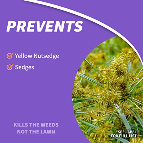 Bonide Sedge Ender, 16 oz Concentrated Weed Killer For Outdoors - image 3