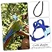 VANZACK 5sets Reusable Parrot Harness Traction Bird Leash Parrot Accessories for Cockatiel
