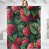 dhakalrlde Raspberry Throw Blanket - Plush, Soft, Comfy, Lightweight, Warm, Fuzzy, Cozy and Stylish Flannel Blanket for Women & Men - Perfect for Couch, Sofa, Travel, Bed, Office 50in×60in
