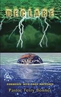 Declare- Submerge Into God's Presence 0978515242 Book Cover