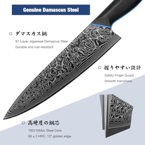 Image of FINTISO Chef Knife 8 inch, 67-Layer Japanese Damascus Steel Kitchen Knife, Sharp Knife with G10 Handle, Professional Cooking Knives for Home and Kitchen