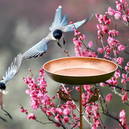 Bain d'oiseaux élégant en résine robuste pour aménagement extérieur - 4