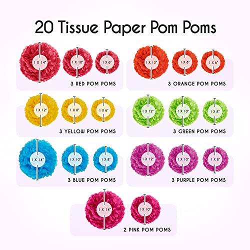 Epiqueone 20-Piece Tissue Paper Pom Poms Party Kit - Add A Splash Of Rainbow Colors To Your Celebrations! Perfect For Birthday, Bridal Shower, Baby Shower, Wedding, Anniversary & Graduation #TOP2