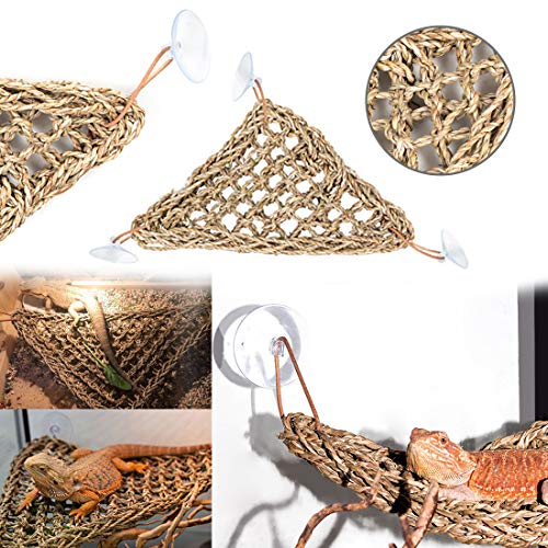 PINVNBY Bearded Dragon Tank Accessories,Lizard Habitat Hammock Reptile Natural Coconut Shell Cave Jungle Climber… - Image 3