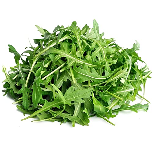 Wild Arugula Seed (800 Seeds) #TOP2