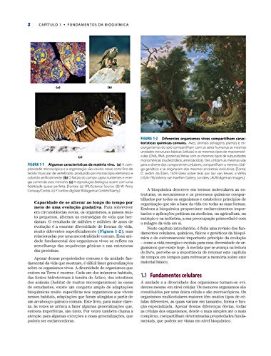 Princípios de Bioquímica de Lehninger