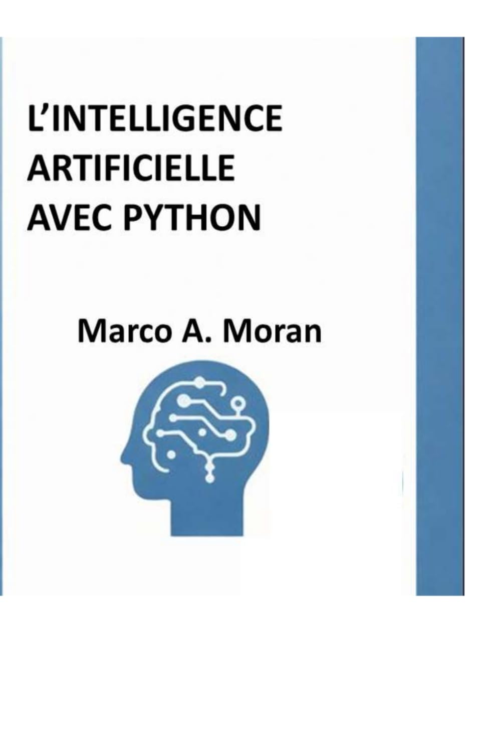 L’INTELLIGENCE ARTIFICIELLE PAS À PAS