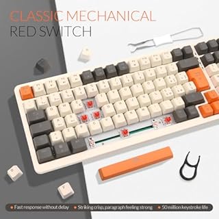 Rii Gaming RK909 - Tastiera meccanica silenziosa con tripla connessione (Wireless + Bluetooth + USB), batteria ricaricabile, retroilluminazione RGB, anti-ghosting, tasti smontabili, cover magnetica