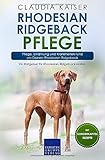 Rhodesian Ridgeback Pflege: Pflege, Ernährung und Krankheiten rund um Deinen Rhodesian Ridgeback