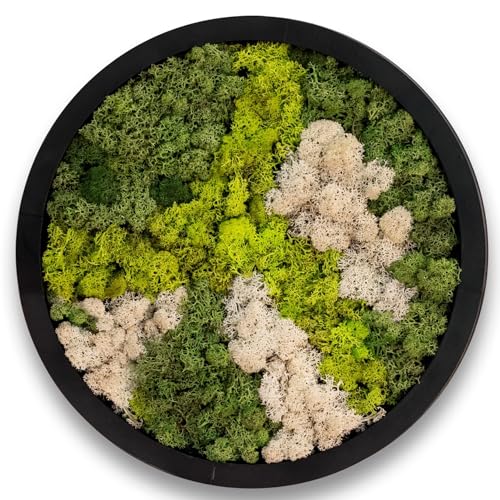 comforder Tableau mural rond avec mousse véritable (diamètre 38 cm),