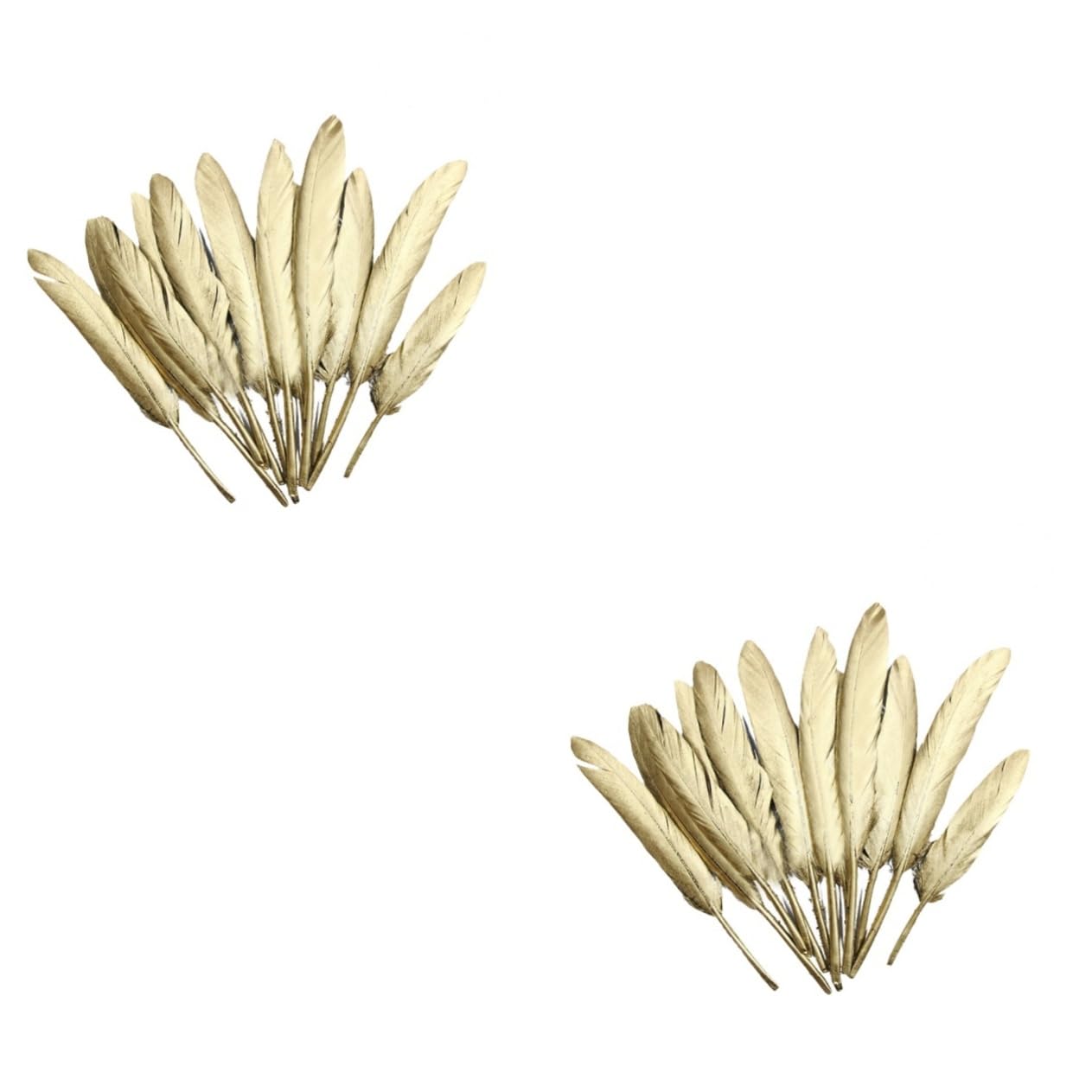 Plumas hermosas para decorar jarrones y arreglos florales 8