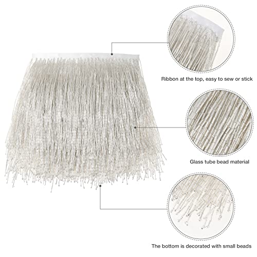 Awaytr 1 Yard Beaded Fringe Trim - 6In Wide Glass Beaded Fringe For Dress Clothing And Diy Crafts (Silver) #TOP2