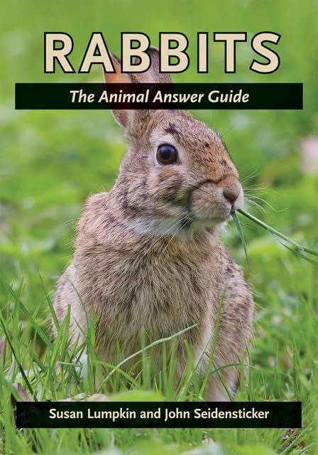 Rabbits: The Animal Answer Guide (The Animal Answer Guides: Q&A for the Curious Naturalist)