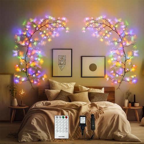 YCoisini Lumières de vigne en saule avec 160 DEL guirlande murale de 2m pour maison