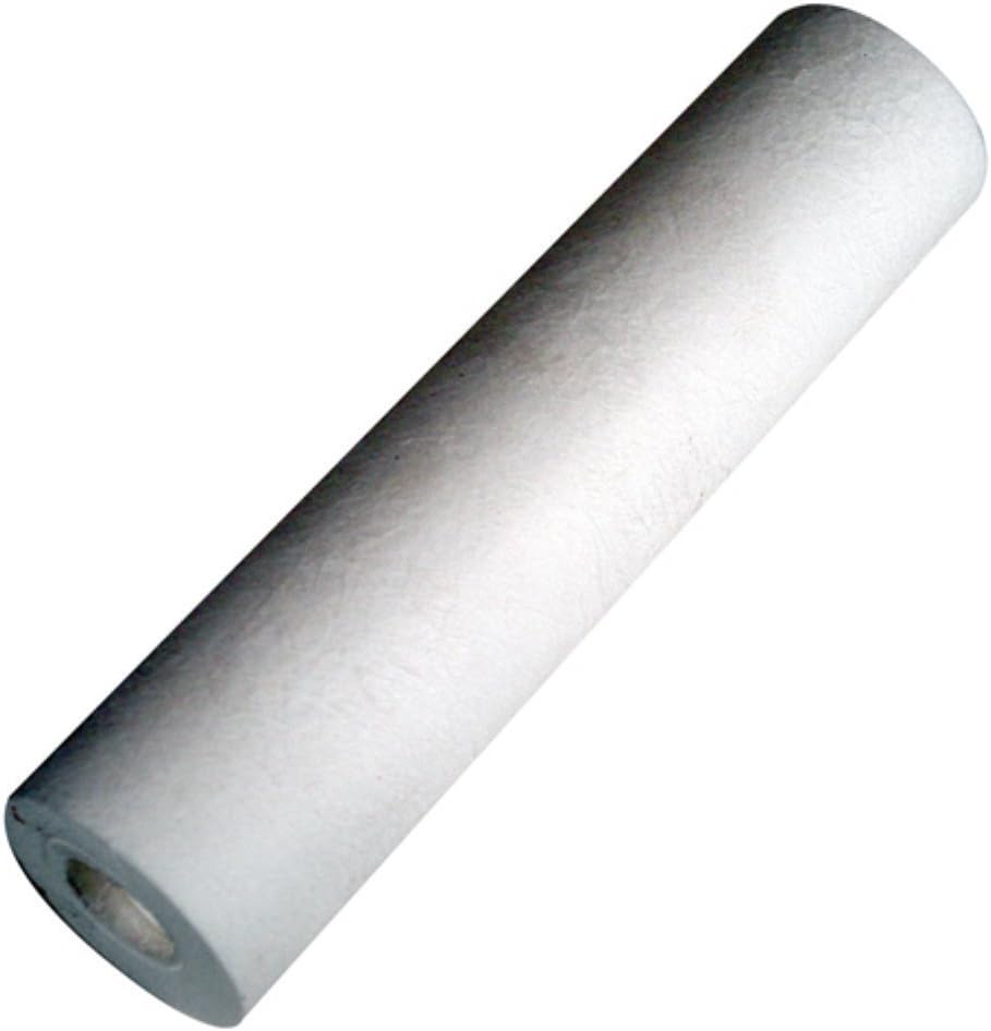 HydroLogic HLSBS 22105 10 2.5-Inch Small Boy Sediment Filter, 2.5 inch, White