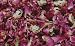 Rosebuds and Petals, Red 8oz. Culinary...Food Grade