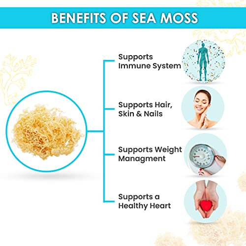 Bonbons à la mousse de mer biologique Vegan Keto Superfoods Stimulation immunita