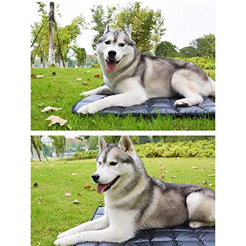 Image of Fluffy's Luxurious Durable Waterproof High-Density PVC Material Cotton Inside Indoor /Outdoor Travel Pet Crate Dog Bed for Puppy /Cats /Dog (Black Medium)