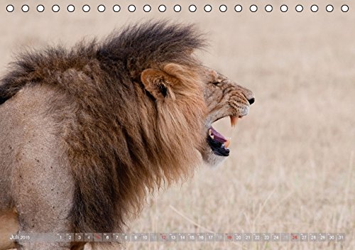 Löwen - Herrscher der Savanne (Tischkalender 2015 DIN A5 quer): Fasziniernde Aufnahmen der majestätischen Raubkatzen - auch als verspielte Löwenkinder (Tischkalender, 14 Seiten)