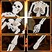 Halloween Skeleton- Full Body Posable Halloween Skeleton with Movable Joints for Best Halloween Decoration,Graveyard Decorations, Haunted House Accessories（2 Pack 16