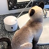 AquaPurr eC - The Cat Water Fountain You Never Clean